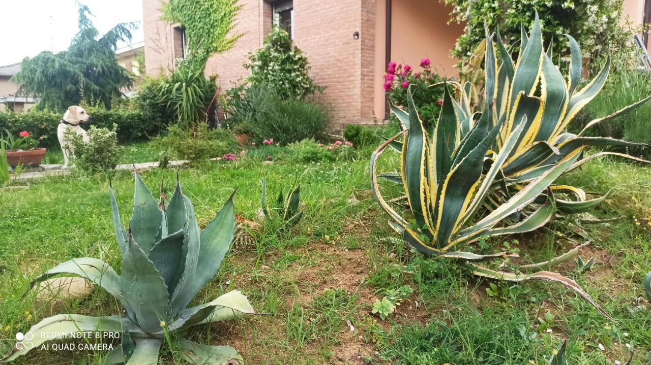 Casa Vincenzo 130 Mq Con Portico Ed Ingresso Esclusivo Dal Giardino Villa Felino Eksteriør billede