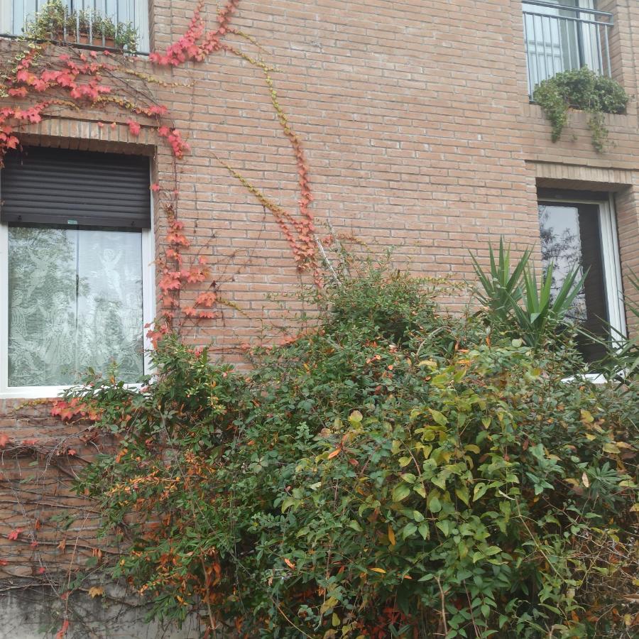 Casa Vincenzo 130 Mq Con Portico Ed Ingresso Esclusivo Dal Giardino Villa Felino Eksteriør billede