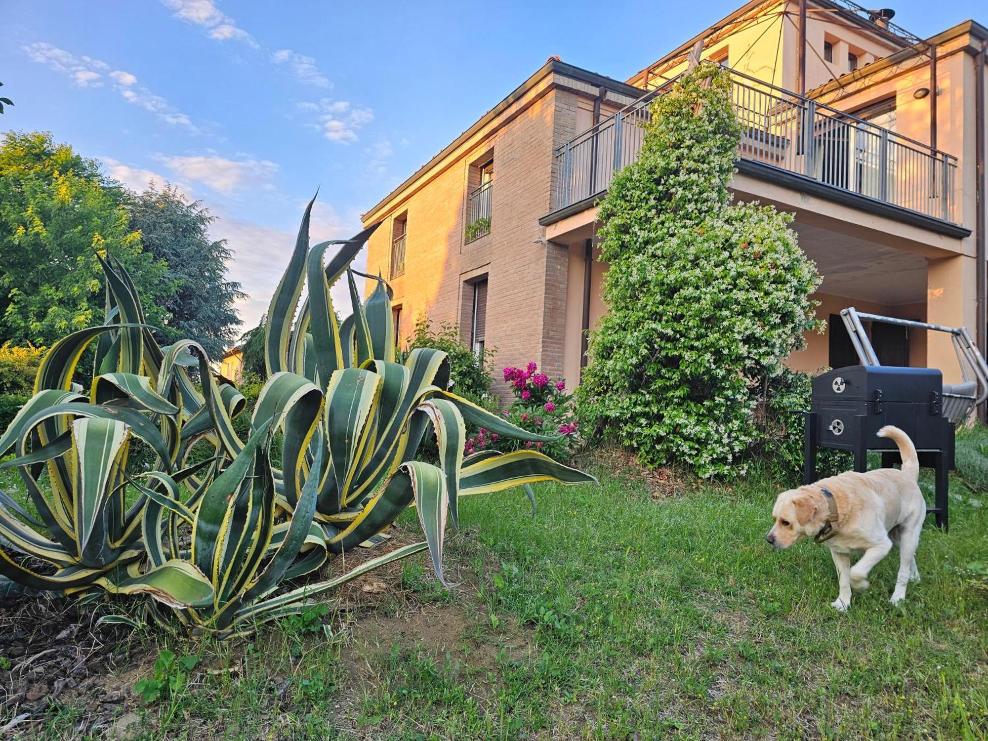 Casa Vincenzo 130 Mq Con Portico Ed Ingresso Esclusivo Dal Giardino Villa Felino Eksteriør billede