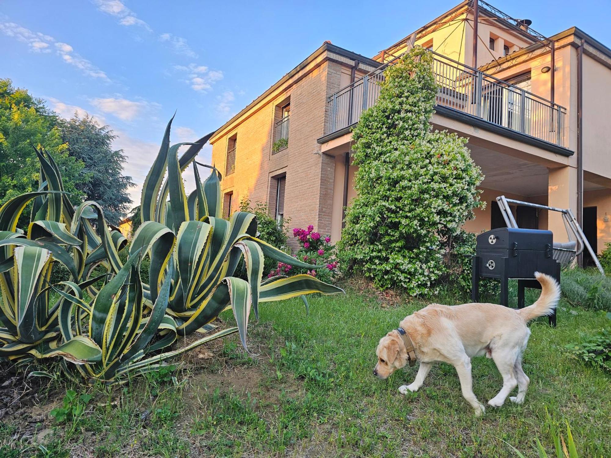 Casa Vincenzo 130 Mq Con Portico Ed Ingresso Esclusivo Dal Giardino Villa Felino Eksteriør billede